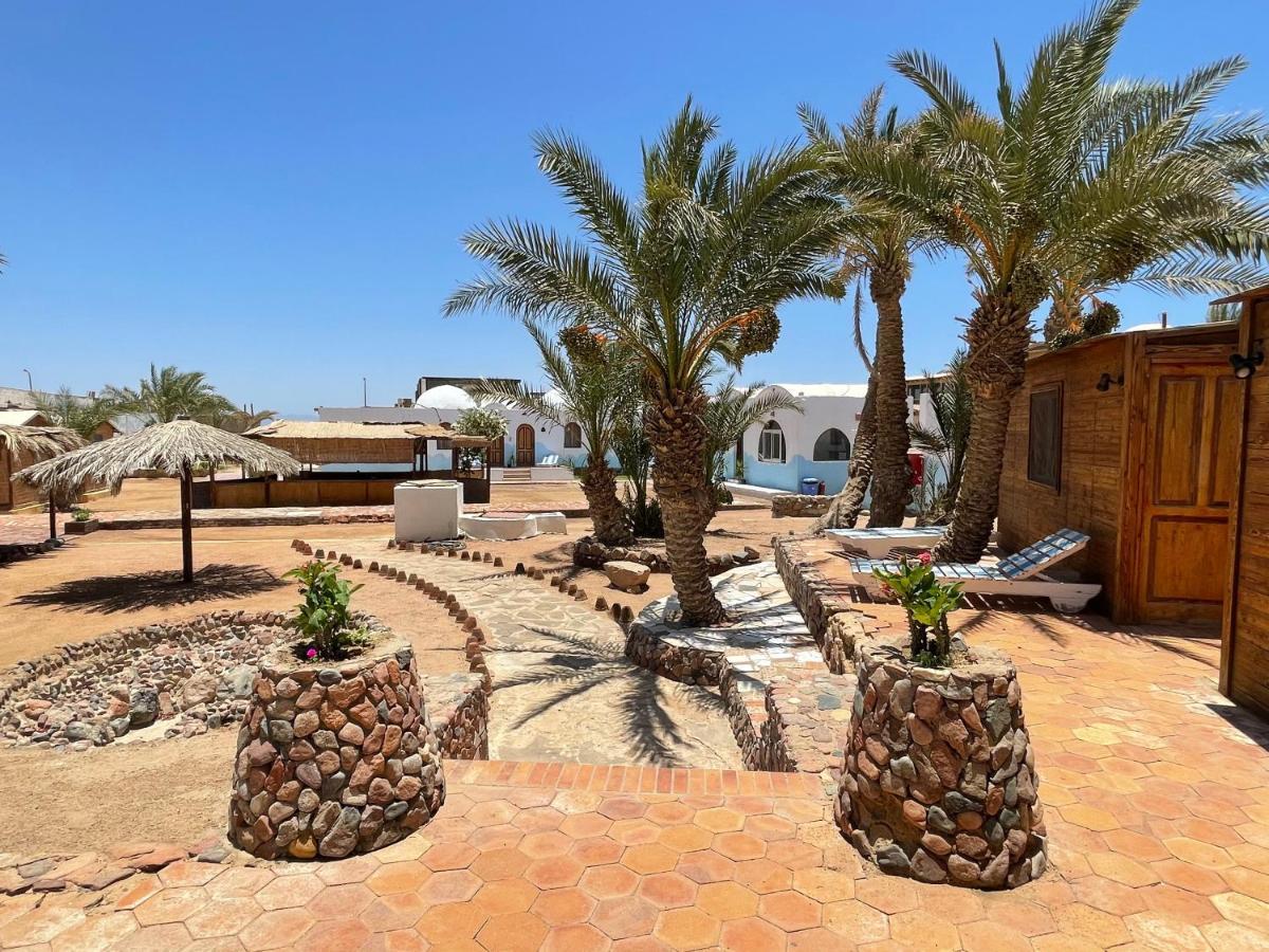 Hotel Dolphin Camp Dahab Exterior foto